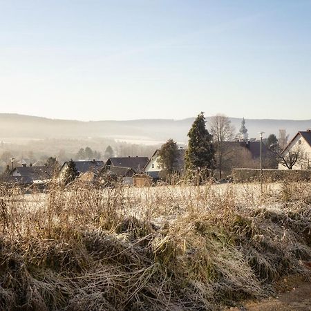 Ferienwohnung Bergaecker Neualbenreuth Εξωτερικό φωτογραφία